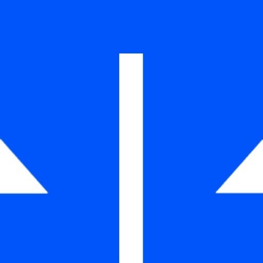 Georg Simon Ohm University of Applied Sciences Nuremberg logo