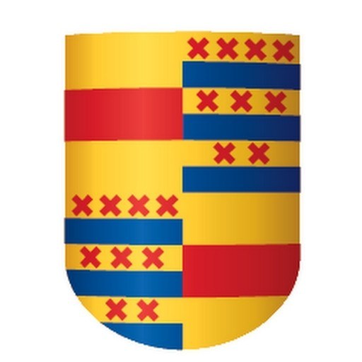 Nyenrode Business University logo